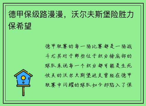 德甲保级路漫漫，沃尔夫斯堡险胜力保希望