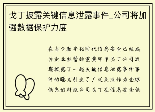 戈丁披露关键信息泄露事件_公司将加强数据保护力度